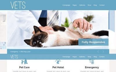 diseno-web-especialistas-veterinarios
