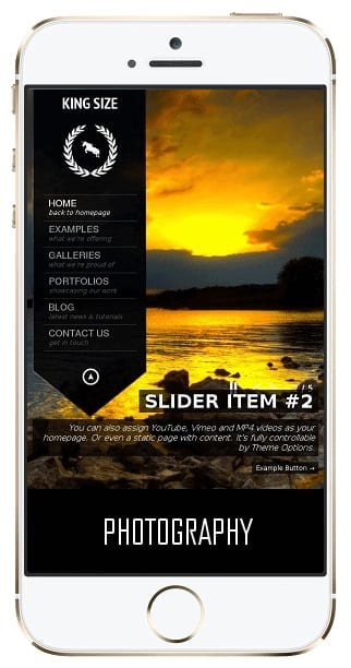 Image module