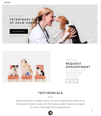 Garantía permanente e nuestras webs de clínicas veterinarias