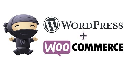 Diseño de Tiendas Online WordPress Woocommerce