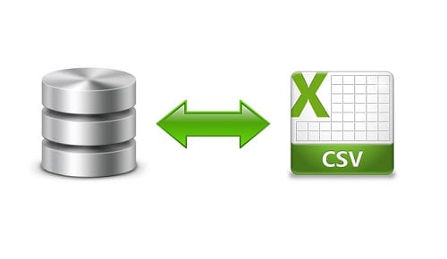 Importador de datos masivo en CSV