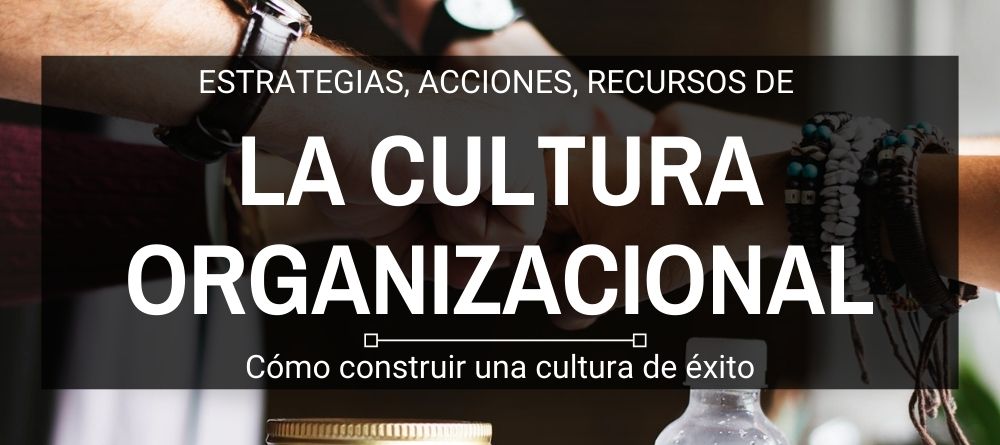 6 estrategias de cultura organizacional